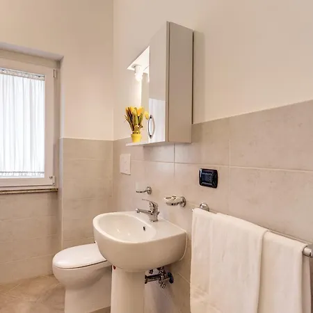 Zen פאסואוסקורו